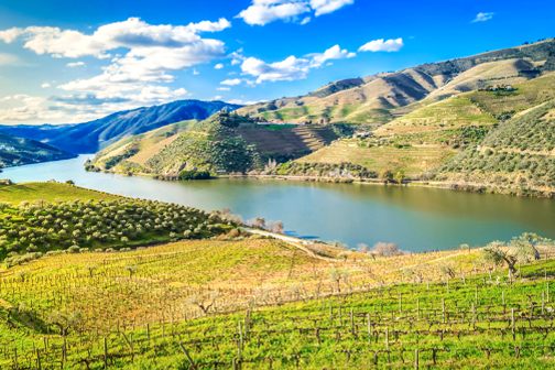 Dourovallei in Portugal met groene wijngaarden op terrasvormige heuvels en de rivier die kronkelend door het landschap loopt.